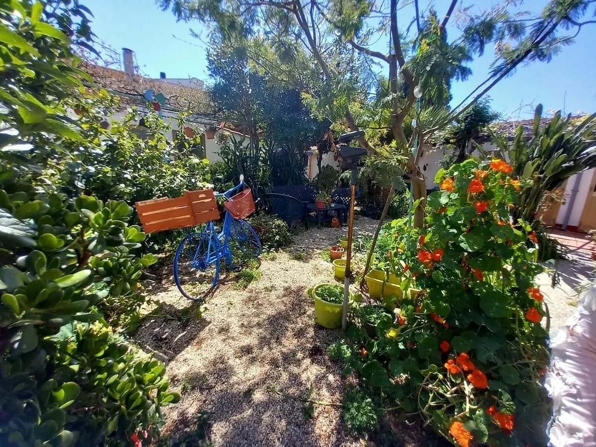 Bed & Breakfast Paui Cabras