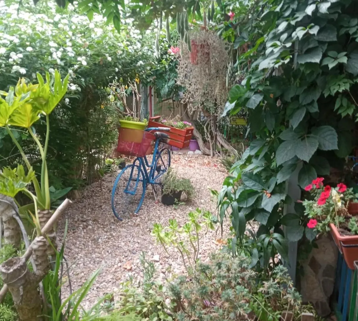 Bed & Breakfast Paui Cabras