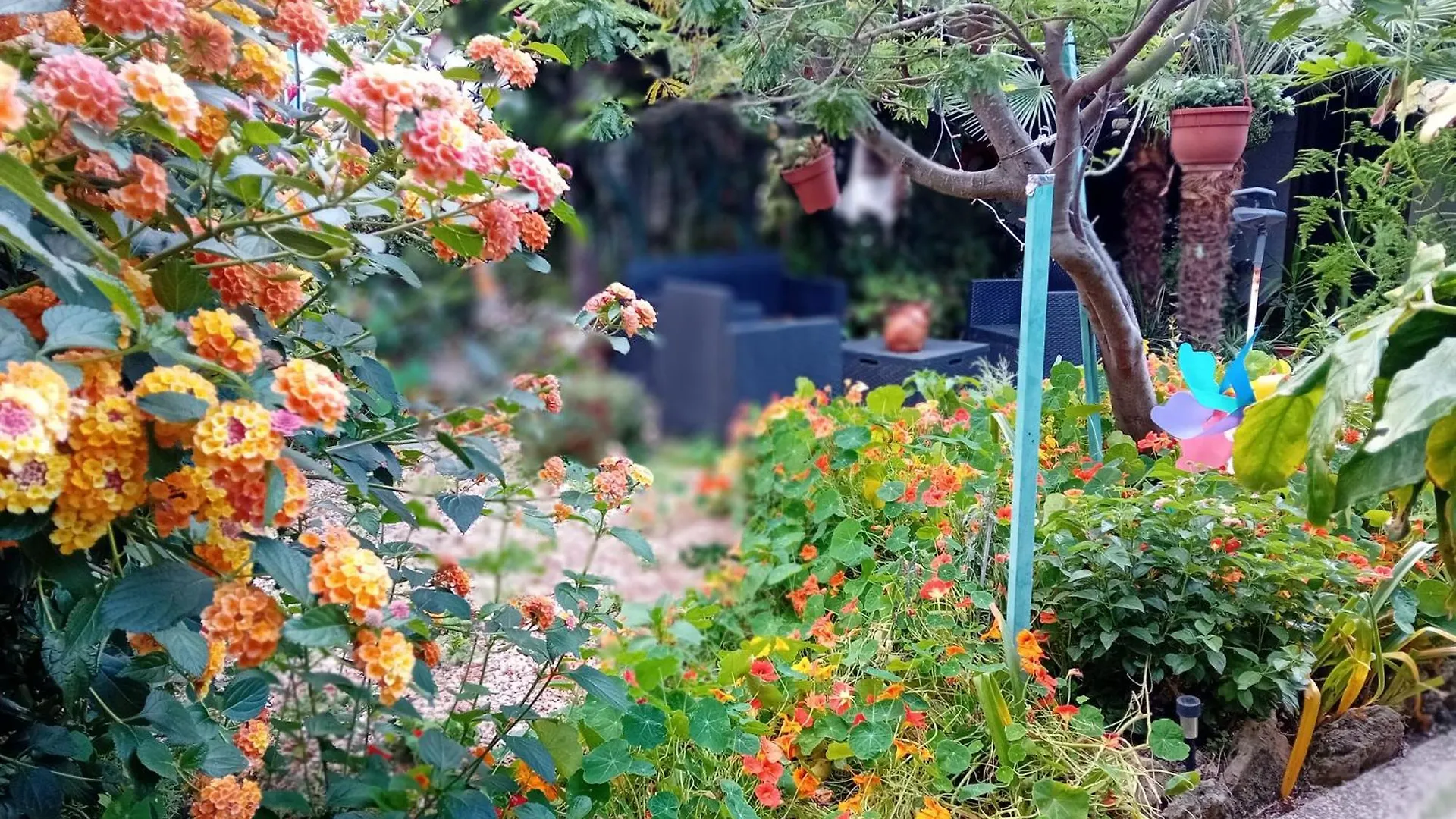 Bed & Breakfast Paui Cabras